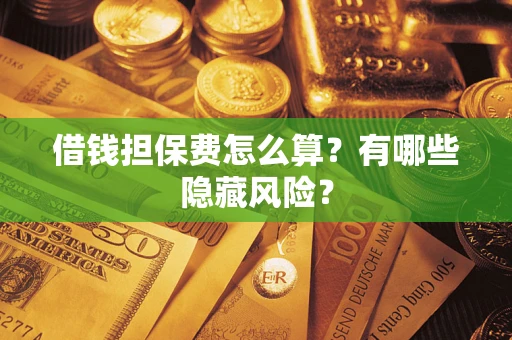 武汉借钱担保费怎么算？有哪些隐藏风险？