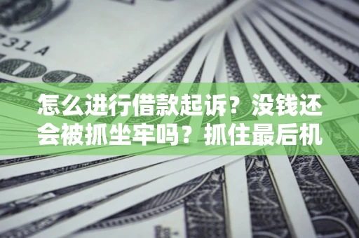 武汉怎么进行借款起诉？没钱还会被抓坐牢吗？抓住最后机会！