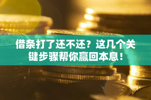 武汉借条打了还不还？这几个关键步骤帮你赢回本息！