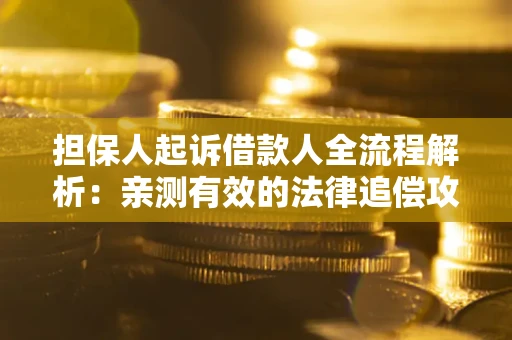 武汉担保人起诉借款人全流程解析：亲测有效的法律追偿攻略