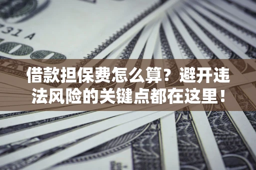 武汉借款担保费怎么算？避开违法风险的关键点都在这里！