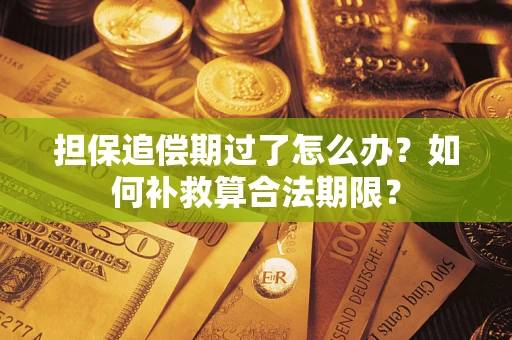 武汉担保追偿期过了怎么办？如何补救算合法期限？