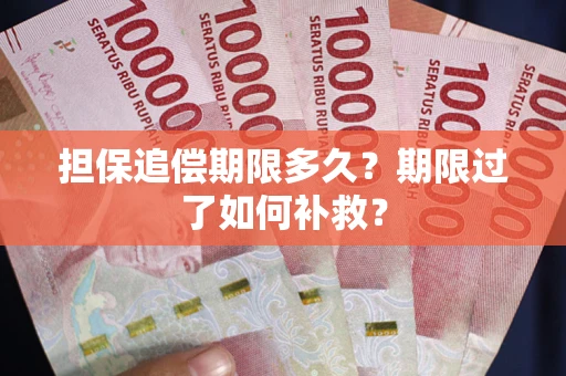 武汉担保追偿期限多久？期限过了如何补救？