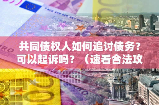 武汉共同债权人如何追讨债务？可以起诉吗？（速看合法攻略）