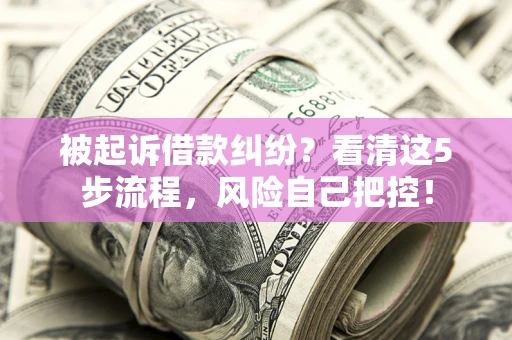 武汉被起诉借款纠纷？看清这5步流程，风险自己把控！
