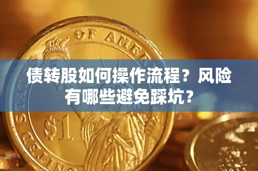 武汉债转股如何操作流程？风险有哪些避免踩坑？