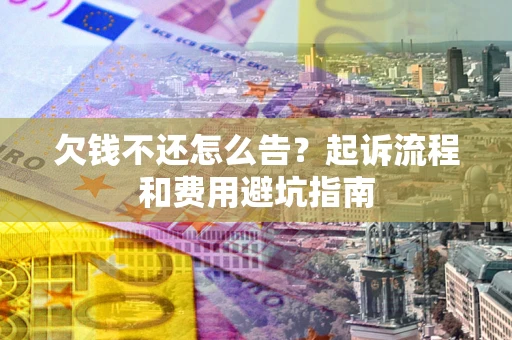 武汉欠钱不还怎么告？起诉流程和费用避坑指南