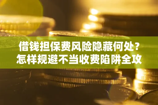 武汉借钱担保费风险隐藏何处？怎样规避不当收费陷阱全攻略！