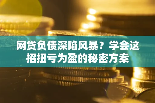 武汉网贷负债深陷风暴？学会这招扭亏为盈的秘密方案