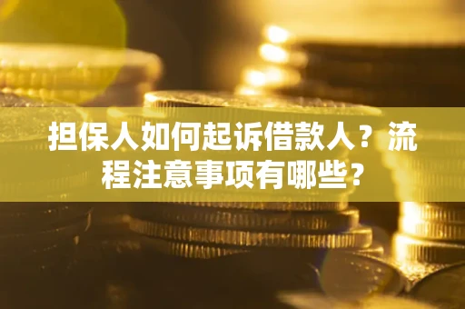 武汉担保人如何起诉借款人？流程注意事项有哪些？